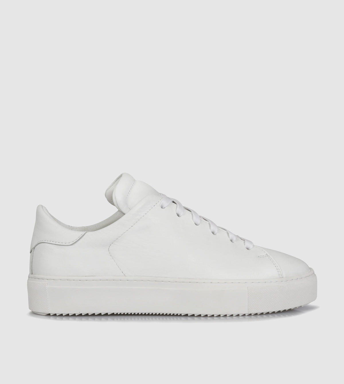 Babette Low Top Sneakers by Sempre Di