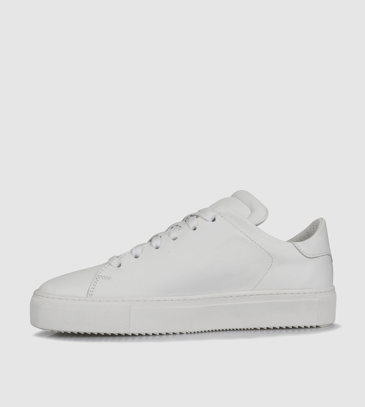 Babette Low Top Sneakers by Sempre Di