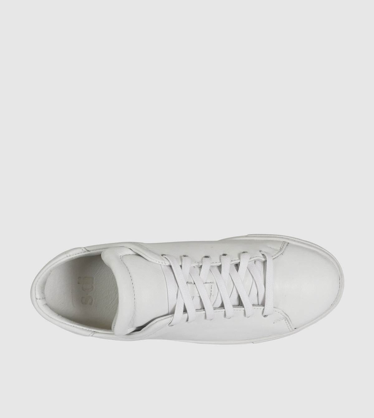 Babette Low Top Sneakers by Sempre Di