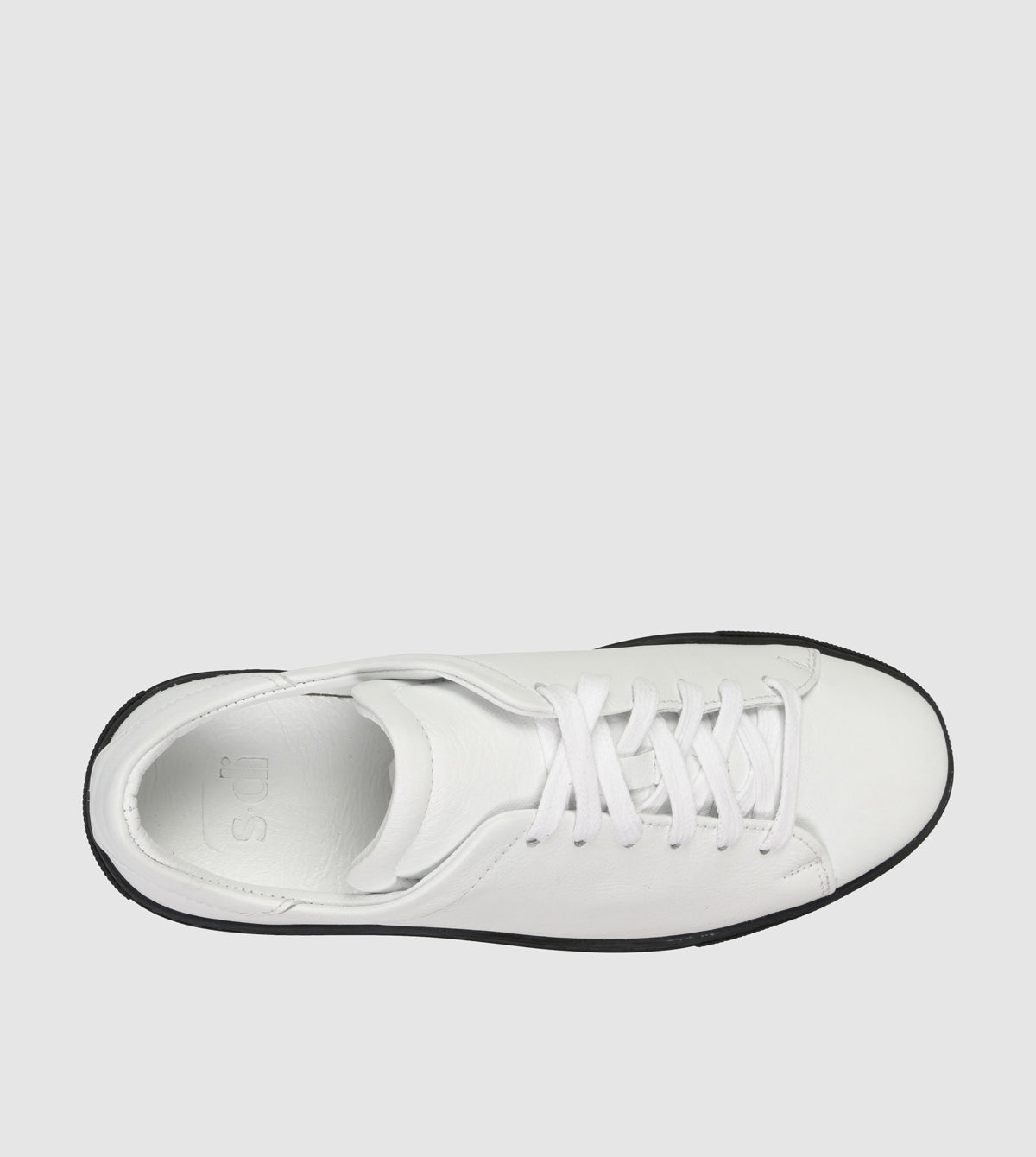 Babette Low Top Sneakers by Sempre Di