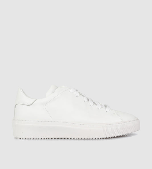 Babette Low Top Sneakers by Sempre Di