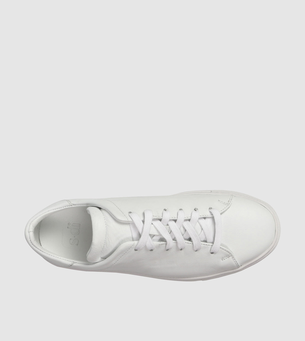 Babette Low Top Sneakers by Sempre Di