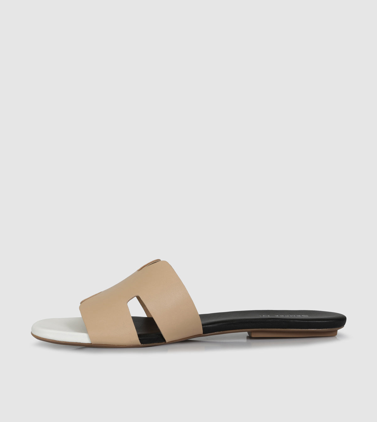 Ludovica Slides by Sempre Di