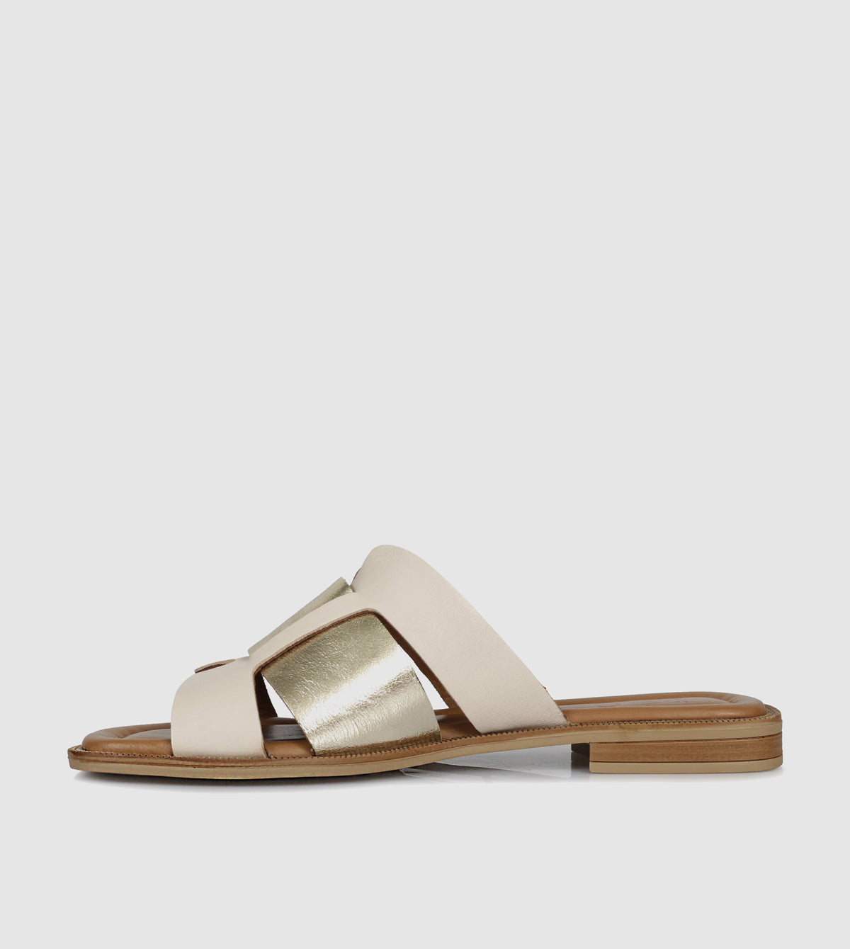 Clyde Slides by Pg Piazza Grande