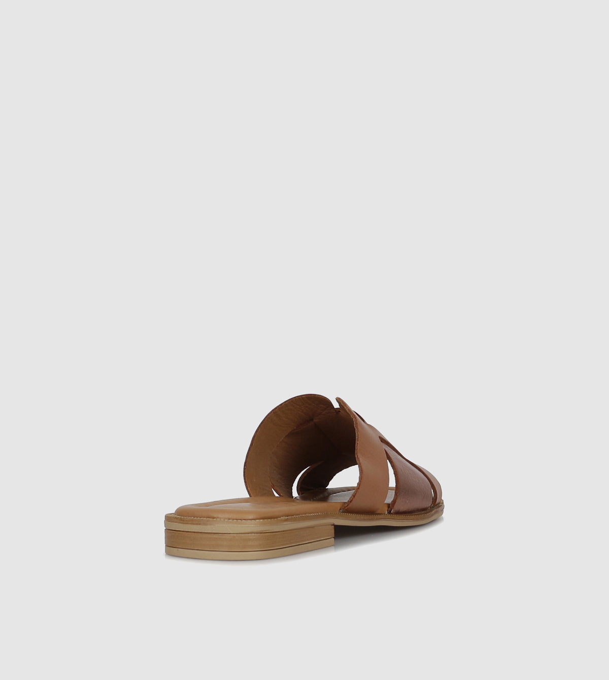 Clyde Slides by Pg Piazza Grande