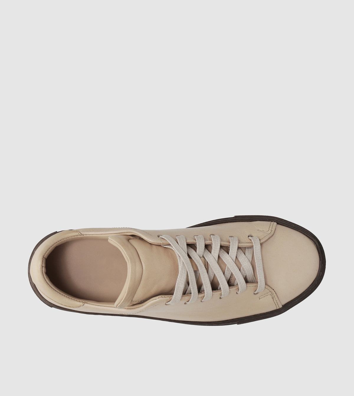 Babette Low Top Sneakers by Sempre Di